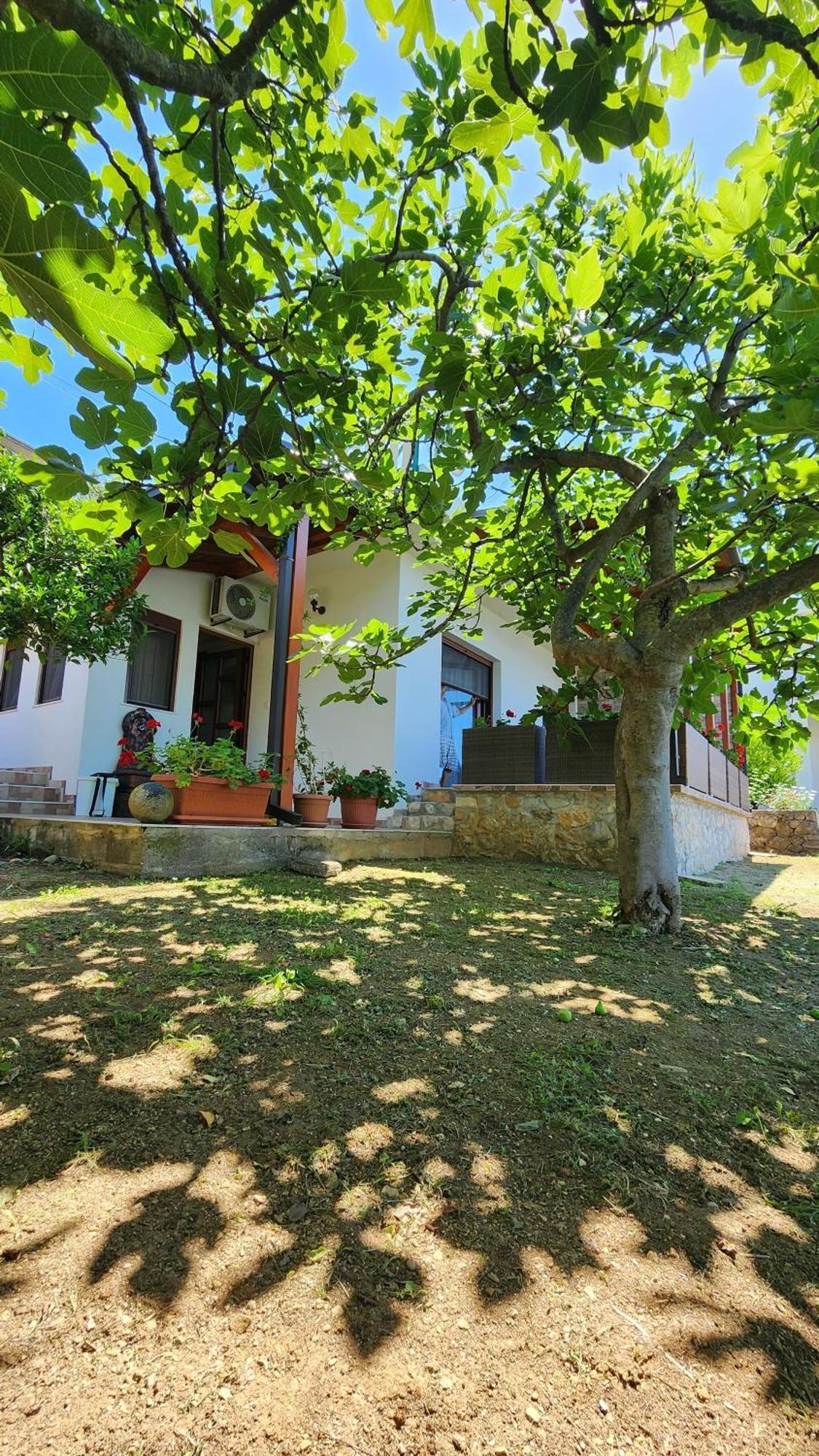 Apartment Ulcinj Exterior foto