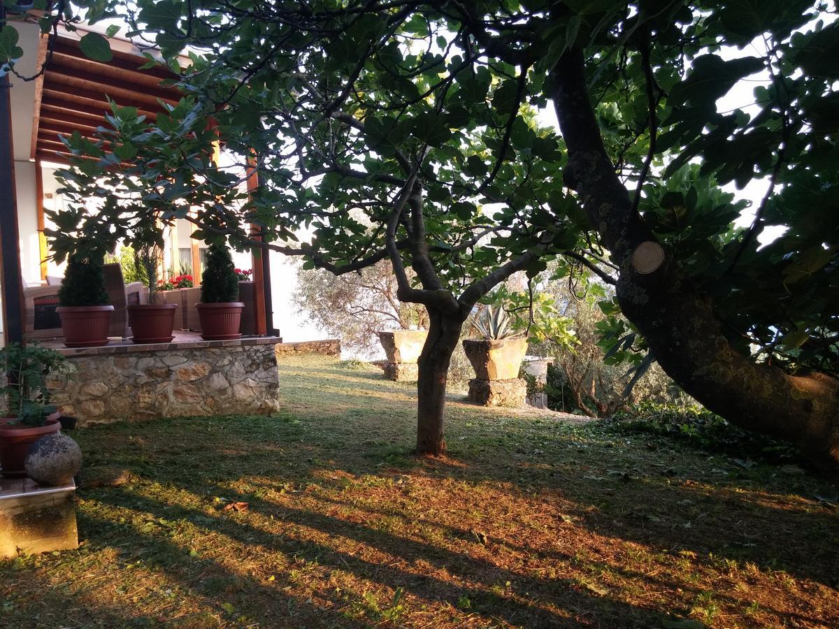 Apartment Ulcinj Exterior foto